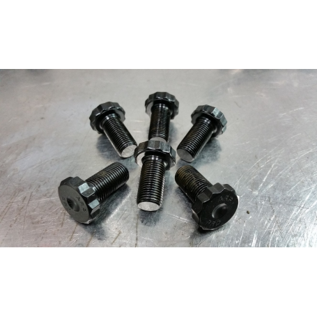 ARP Flywheel Bolts